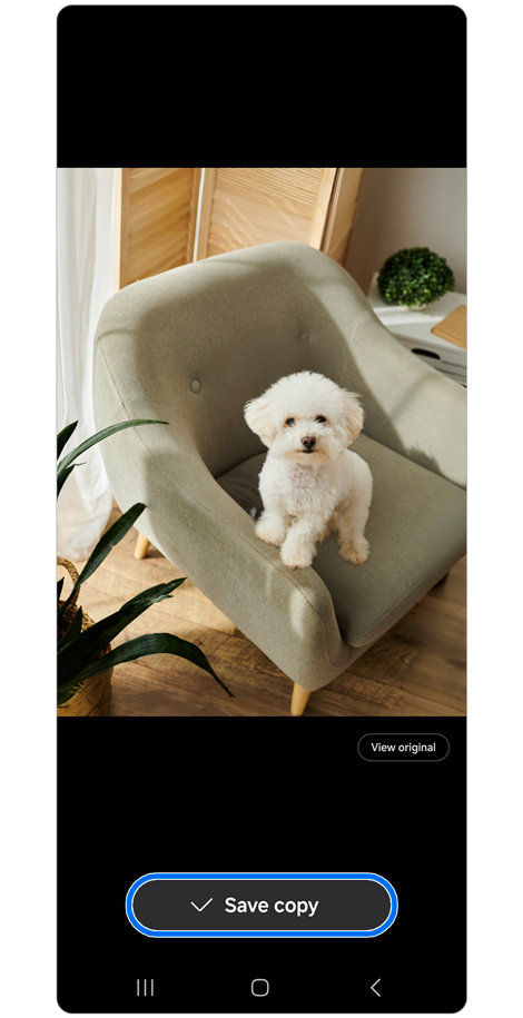 Image of a puppy in the photo edit panel