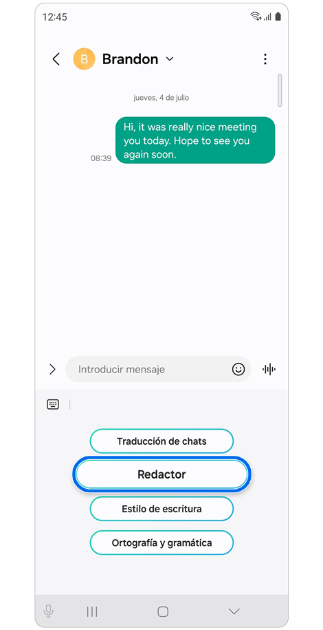Opciones de Asistente de chat