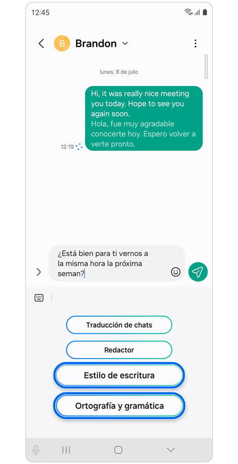 Opciones de Asistente de chat