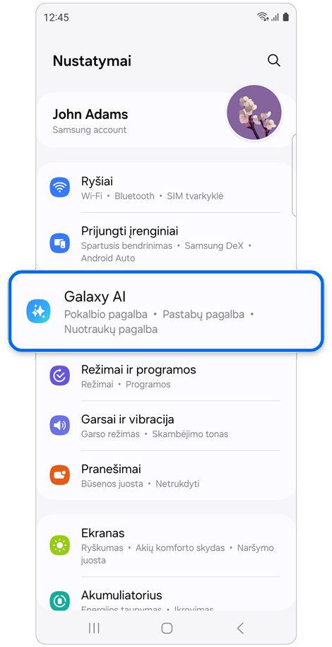 Nustatymų pradžios puslapis