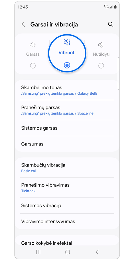 Garsų ir vibracijos pradžios ekranas.