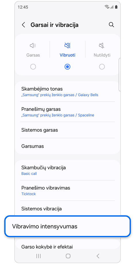 Garsų ir vibracijos pradžios ekranas.
