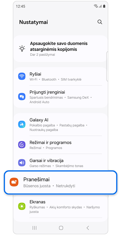 Nustatymų pradžios ekranas.