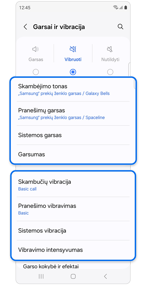 Garsų ir vibracijos nustatymai