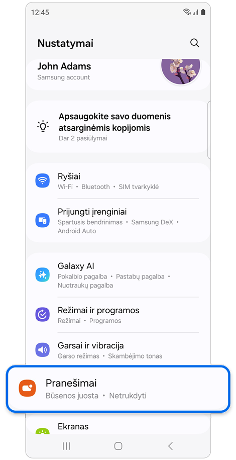Nustatymų pradžios ekranas