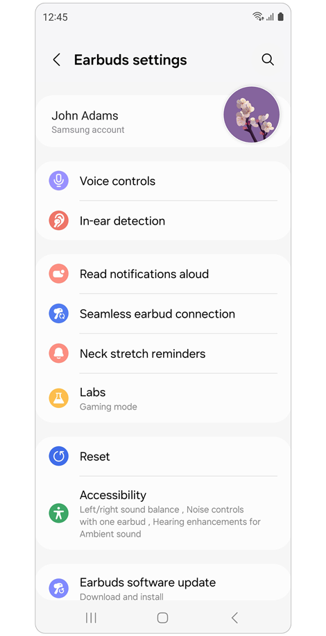 Earbud settings home screen.