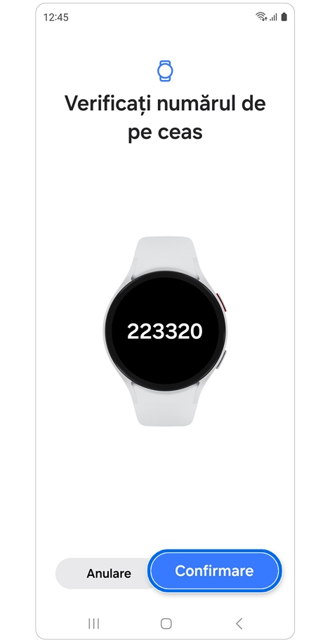 Ecranul de verificare.