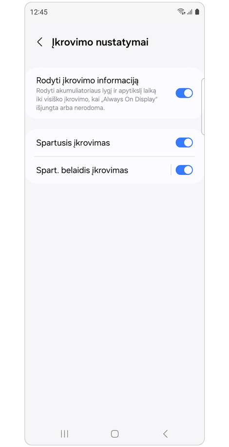 Įkrovimo nustatymų ekranas