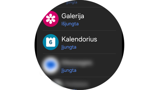 Programų sąrašas.