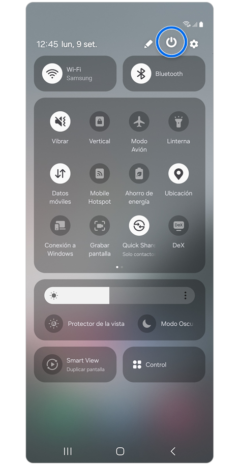 Samsung Galaxy Panel rápido.
