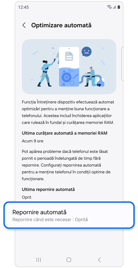 Setări Optimizare automată.