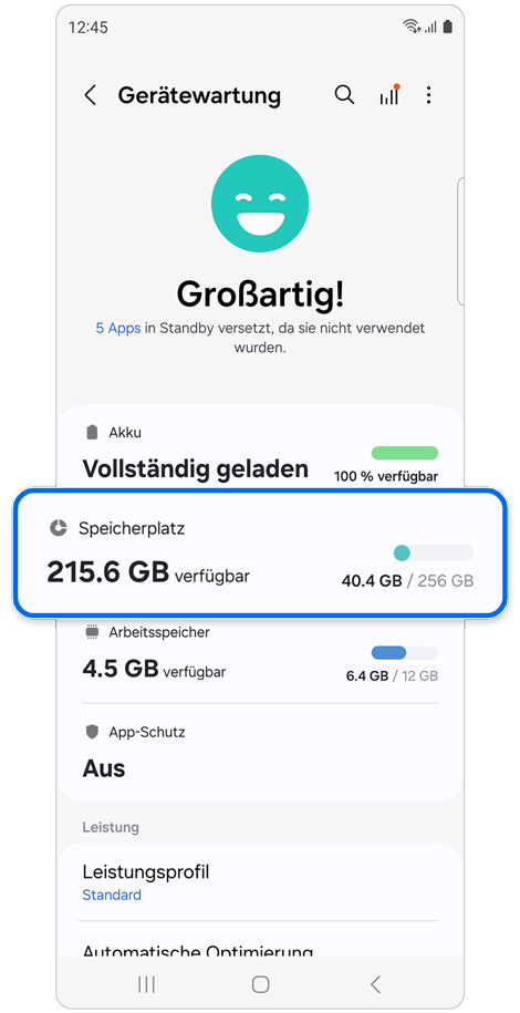 Einstellungen im Bildschirm „Gerätewartung“