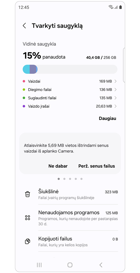 Įrenginio saugyklos tvarkymo ekranas
