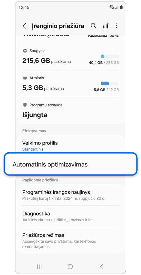 Įrenginio priežiūros nustatymų ekranas