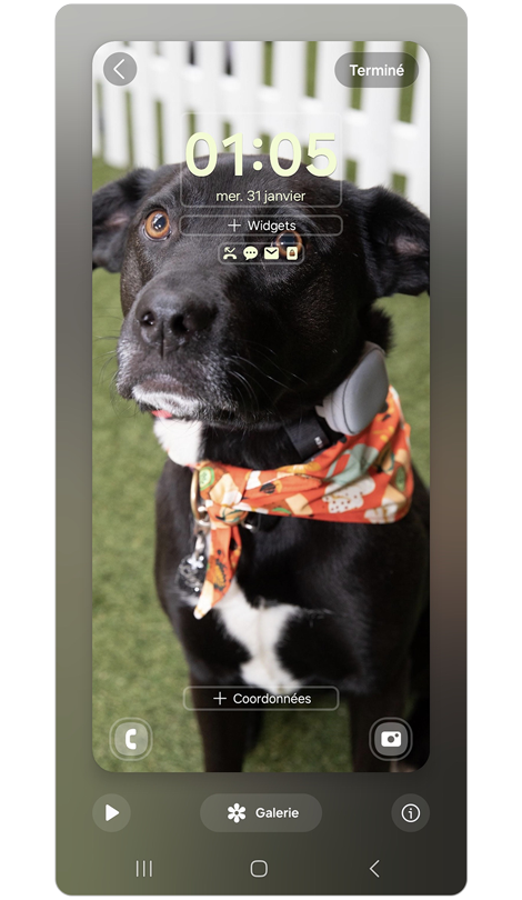 Photo d’un chien noir définie comme fond d'écran pour le Galaxy S24