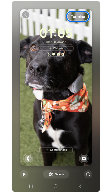 Photo d’un chien noir définie comme fond d'écran pour le Galaxy S24