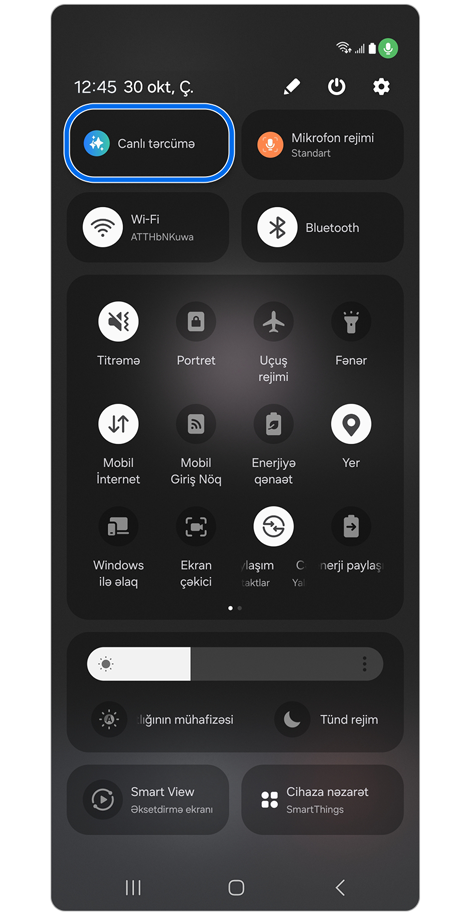 Cəld Parametrlər paneli