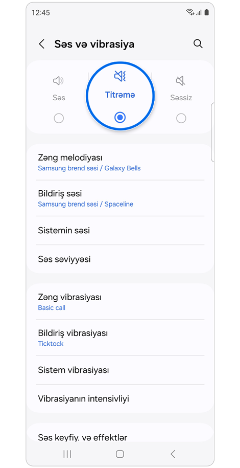 Səslər və vibrasiya əsas ekranı.