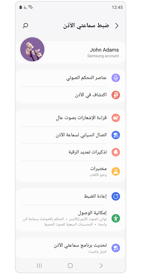 Earbud settings home screen.
