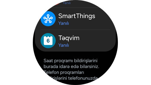 Proqramların siyahısı.