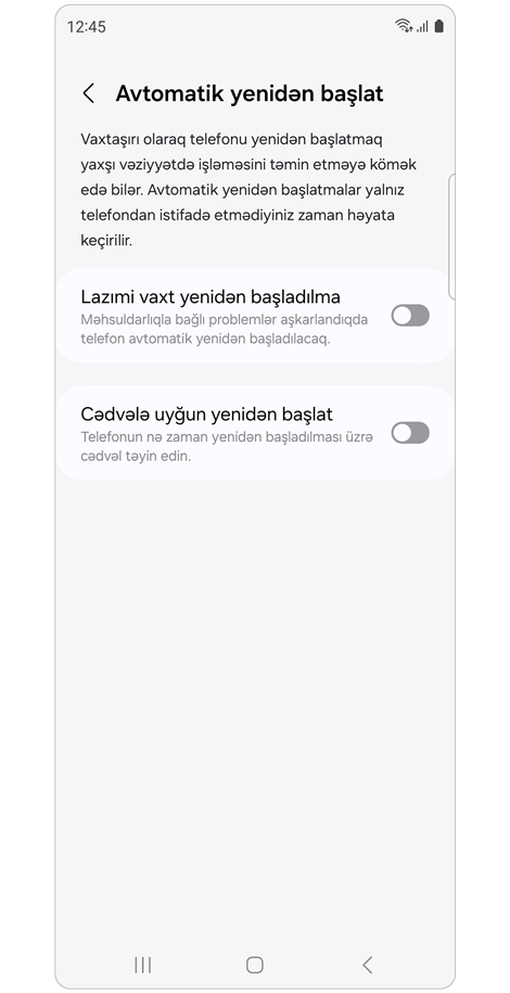 Avtomatik yenidən başlat parametrləri.