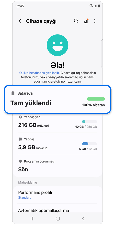 Cihaza qayğı parametrləri ekranı