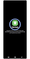 Screen booting in Safe mode