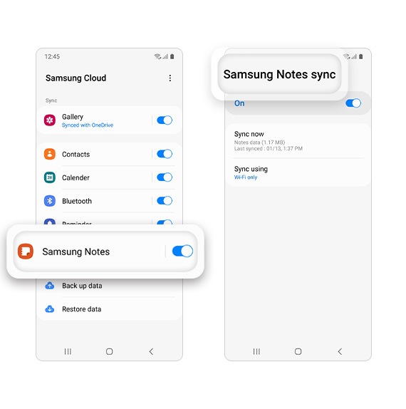 A la izquierda hay una captura de pantalla de la página de Samsung Cloud con la función Samsung Notes ampliada. A la derecha hay una captura de pantalla de la página de sincronización de Samsung Notes