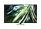 Una TV Samsung Neo QLED 4K QN90D.