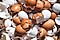 Food waste - eggshell
