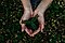 take care a little plant at your gardening