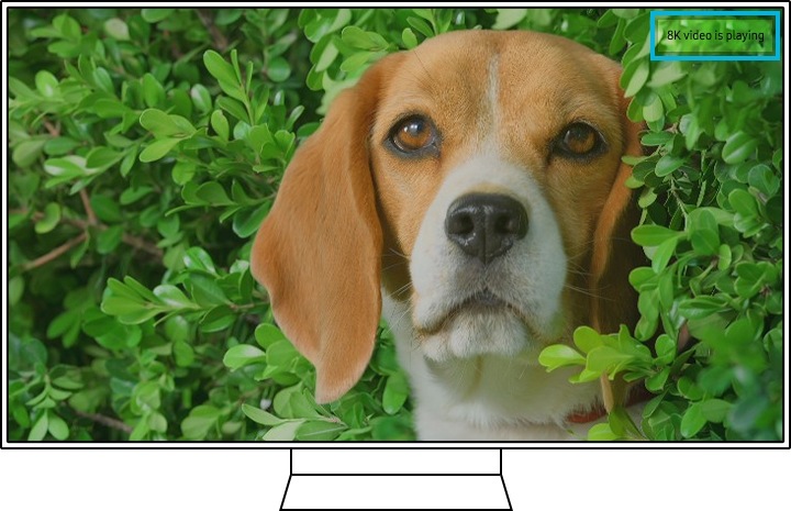 exemple de vidéo d’auto-diagnostic de device care du qled