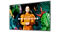 QH43C