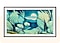 The Frame