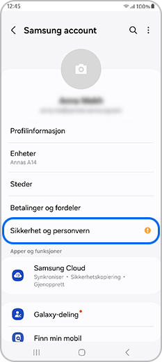 Sikkerhet og personvern valgt i Samsung-kontoprofilen