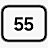 55 tommer