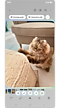 Select area to create GIF