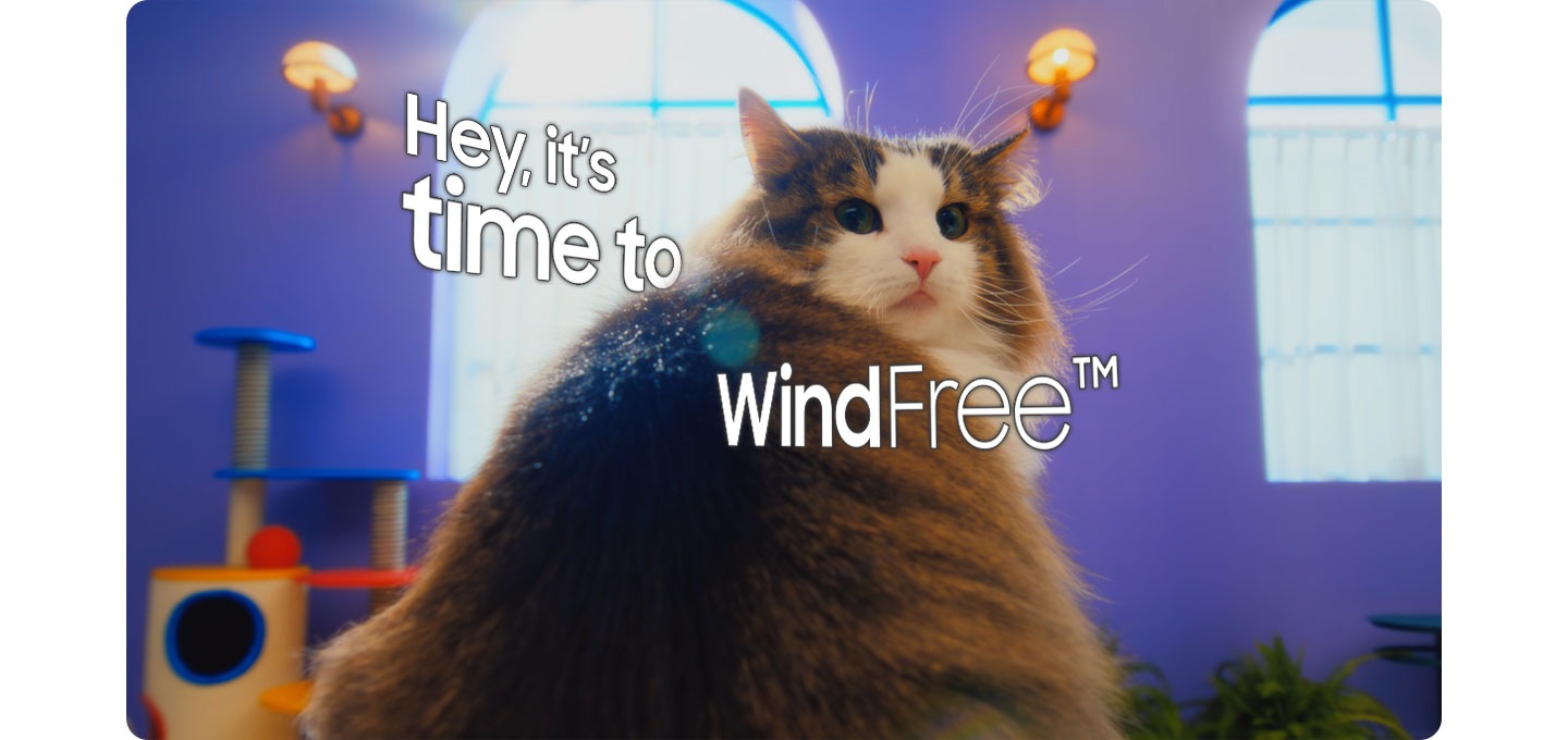 Samsung Presents. There is a closeup of a cat’s ear and its hair blowing in the wind. The camera shifts to the back of a cat in a room. The cat turns around. Hey! It’s time to WindFree™. A strong wind blows the cat’s hair from the front and pieces of paper flying in the background. Too Windy? The camera shifts to another room. A wall-mounted WindFree AC is on, sending cold air downward. A woman relaxes in a hammock, enjoying the cool air. COOOL. Super cooling without wind. The scene shifts to a bedroom where a woman is sound asleep. Quiet. 23dB(A) low noise. Next, a man relaxes on a couch with a dog. Saving 77% energy WindFree vs Fast Cooling. The camera shifts to a closeup of a WindFree AC. The word On is highlighted. Cool WindFree Everywhere. The many colorful circles with different people, city landscapes, and animals.