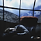 Womann asleep in front of a large window