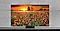 A QLED TV exhibits a wide expanse of colorful flowers against the backdrop of a sunset.