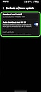 View of the “Earbuds settings” menu with “Earbuds software update menu” highlighted.