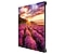 LED signage IFH