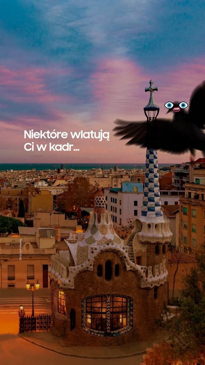 Para idąca brzegiem morza.