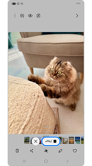 اضغط على إيقاف