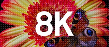 الكلمة "8K" تغطي صورة محاكاة للوحة تلفزيون QLED والتي تعرض لقطة مقربة لزهرة برتقالية حمراء وصفراء ملونة. فراشة ذات بقع أرجوانية ومزرقة بالقرب من منتصف الزهرة.
