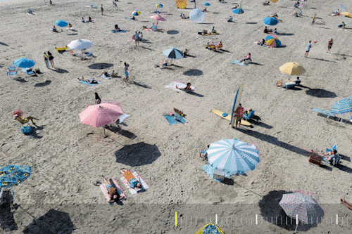 imagem animada de um cão utilizando o Space Zoom