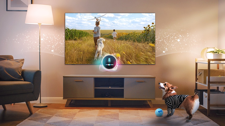 O microfone conectado a uma TV deteta a presença de um cão. O cão parece feliz enquanto a TV reproduz uma cena tranquila acompanhada de música.