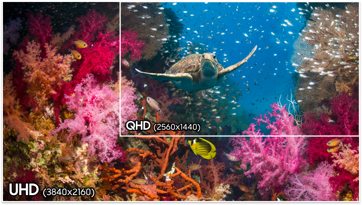 Se muestra un área adicional alrededor del área QHD (2560 x 1440), y hay arrecifes de coral de varios colores. En la parte inferior izquierda, dice “4K UHD (3840 x 2160).