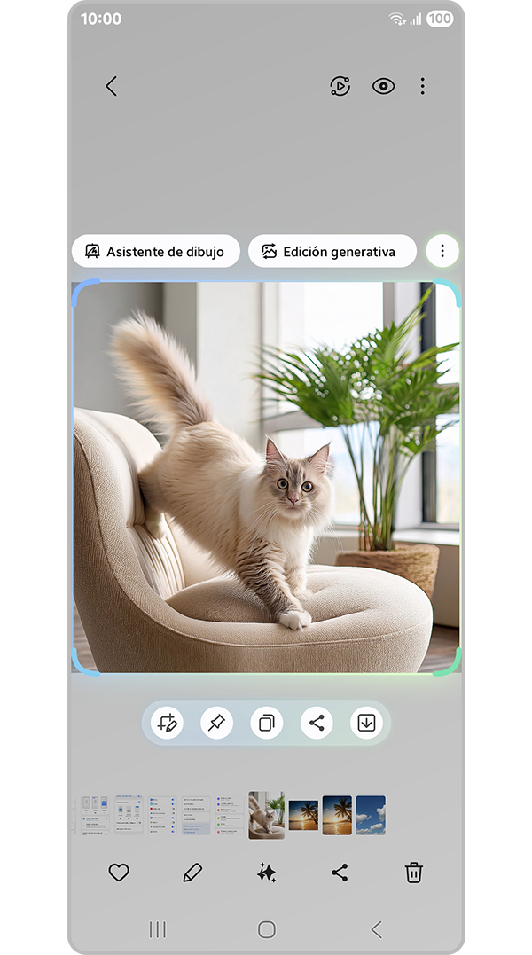 Select area to create GIF