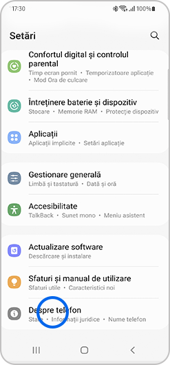 Setări Despre telefon
